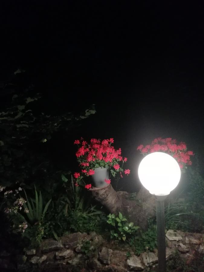 La Mirabelle-Casteil Country House Guest House Ngoại thất bức ảnh