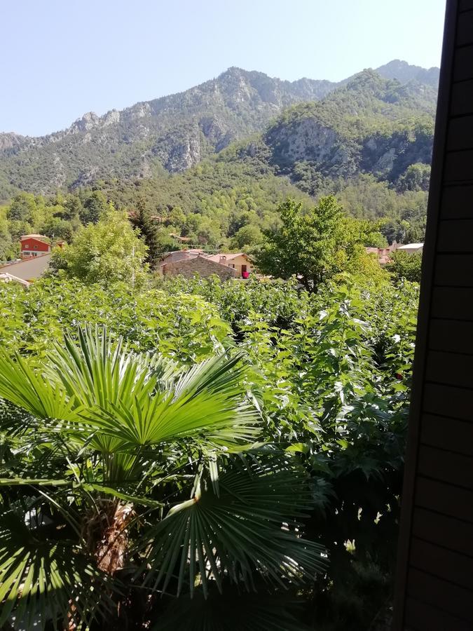 La Mirabelle-Casteil Country House Guest House Ngoại thất bức ảnh